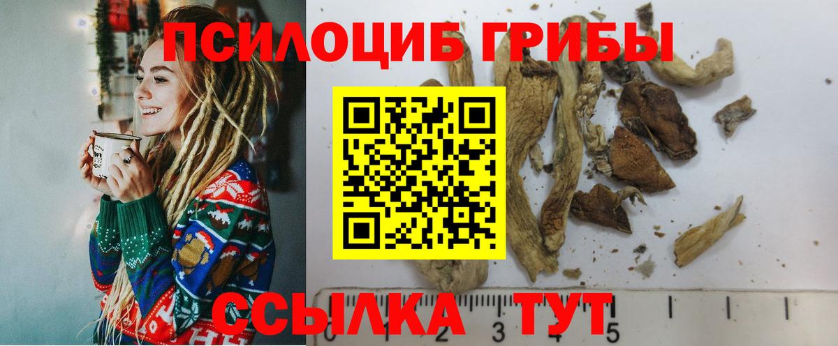 Чита  Галлюциногенные грибы Magic Shrooms  Вход с VPN  Галлюциногенные грибы мицелий 